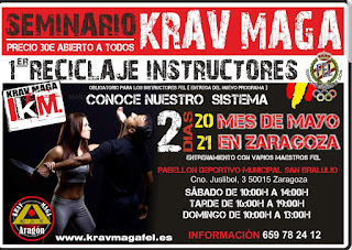 SEMINARIO KRAV MAGA
